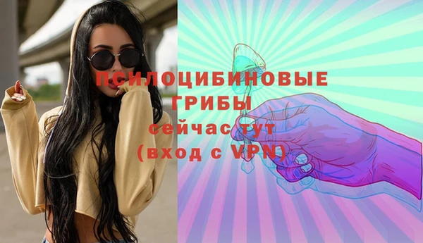 COCAINE Каменка