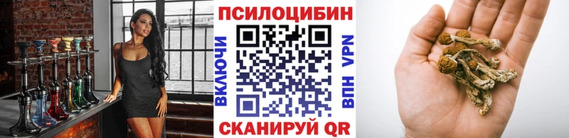 Галлюциногенные грибы Psilocybine cubensis  Камень-на-Оби 
